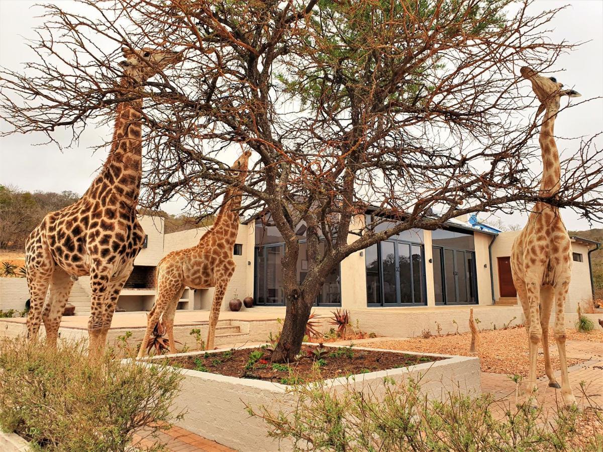 Graceland Eco Retreat Магубасклоф Екстериор снимка