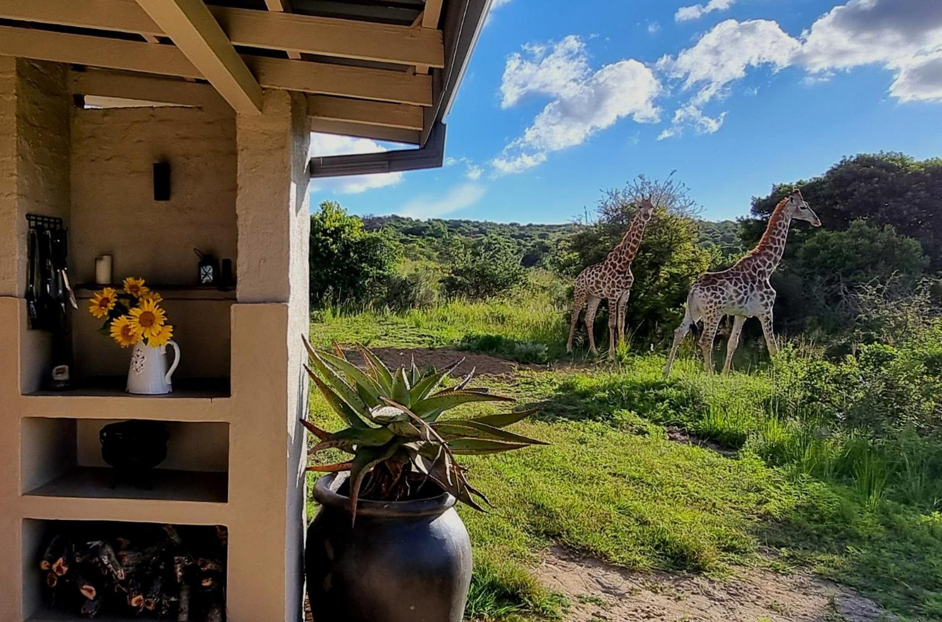 Graceland Eco Retreat Магубасклоф Екстериор снимка