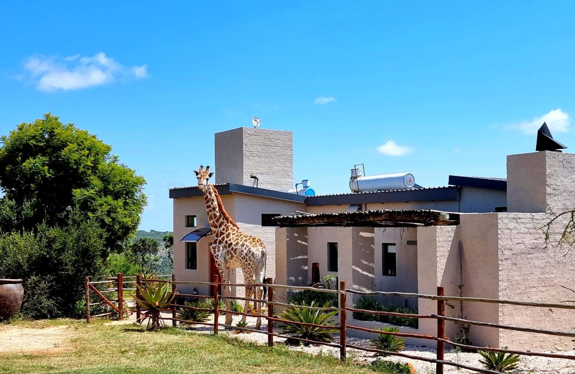 Graceland Eco Retreat Магубасклоф Екстериор снимка