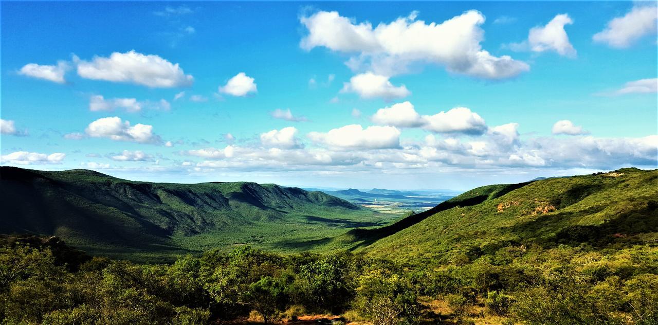 Graceland Eco Retreat Магубасклоф Екстериор снимка